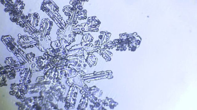 blue snowflake melts on white background