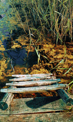 wooden stool water approaching in wild untouched nature  