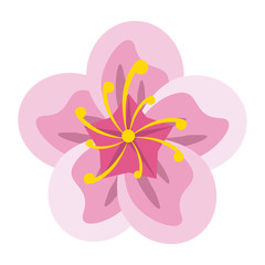 Beautiful flower symbol vector illustration graphic design