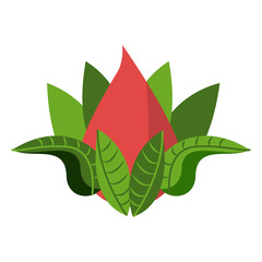 Lotus flower symbol vector illustration graphic design