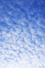Fototapeta na wymiar Beautiful white cumulus clouds on blue early spring evening sky before sunset.