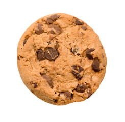 Chocolate chip cookie