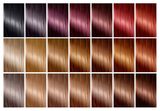 Palette hair deals