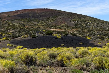 Teneriffa - Wandern in den Cañadas