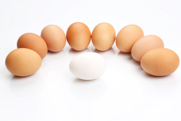 chicken eggs on white background.