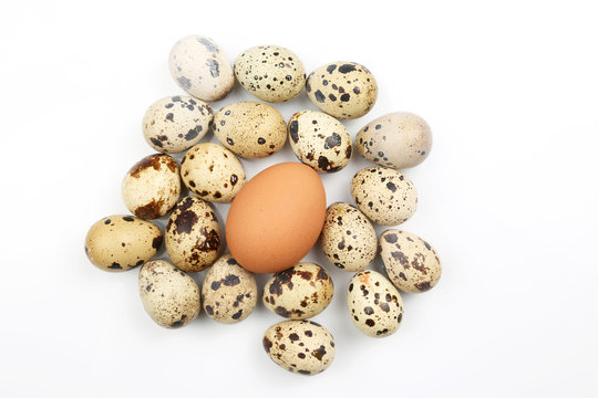 chicken and quail eggs on white background.