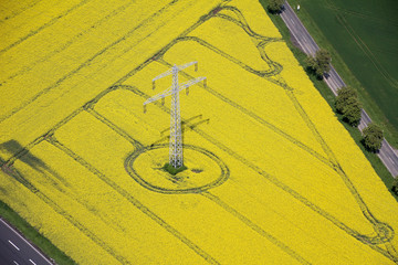 Luftbild eines Strommastes in einem gelb blühenden Rapsfeld