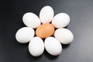 chicken eggs on dark background.