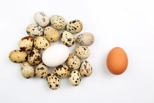 chicken and quail eggs on white background.