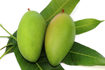 Fresh green sweet mango and leaf