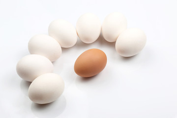 chicken eggs on white background