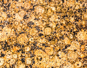 Traditional ornamental Spanish decorative tiles, original ceramic tiles on the walls of buildings