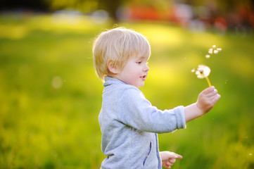 Charming blonde little boy blowing dandelion flower on sunny summer day