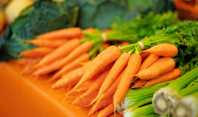 Fresh healthy bio fennel and carrots