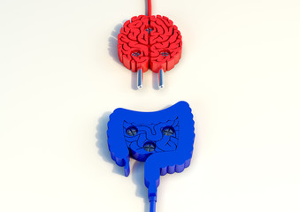 A 3d illustration of a plug with brain and intestine format