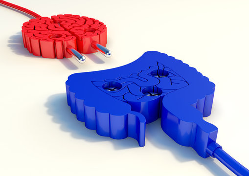 A 3d illustration of a plug with brain and intestine format