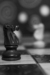 Scacchi fotografati su una scacchiera