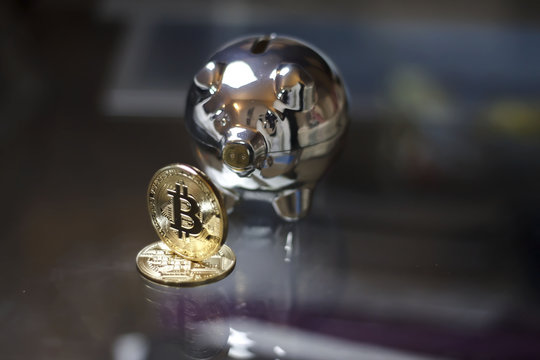 Bitcoin coins and piggy bank