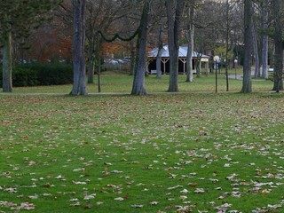 View into a spa park, with  pavilion,meadow, trees in autumn
