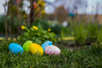 Five Easter eggs are blue, yellow.pink and green in green leaves. Easter background. Search for eggs at Easter.