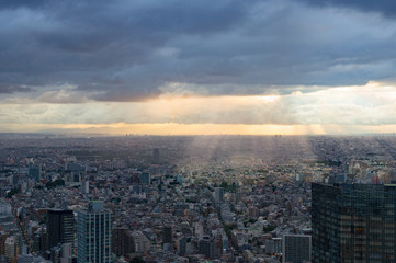 Aerial view of urban sprawl of Tokyo