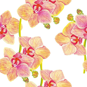 
Orchid flower, seamless background, floral pattern.