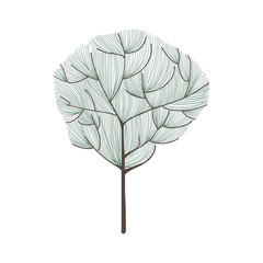 Illustration of tree