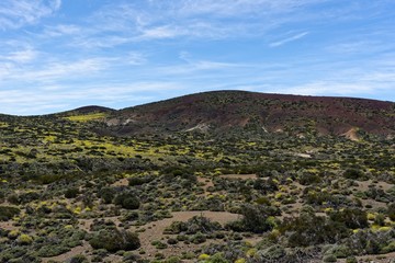 Teneriffa - Wandern in den Cañadas