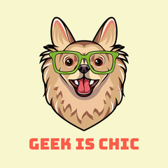 Chihuahua dog geek. Dog in smart glasses. Geek in chic inscription. Vector.