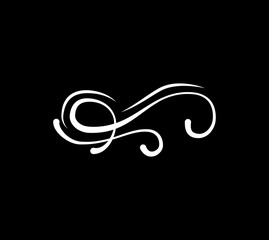 Calligraphy swirl element, swashe, ornate motif and scroll. Vector illustration.