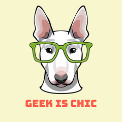 Bull Terrier geek. Dog in smart glasses. Dog Portrait. Vector illustration.