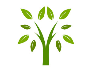 tree logo design 1