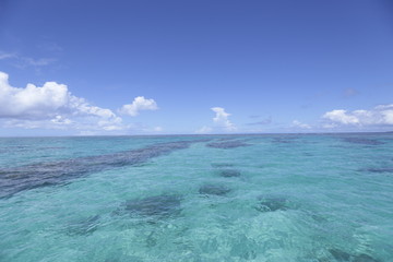 沖縄の海