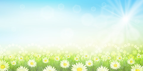 Fototapeta premium クローバー 葉 緑 背景