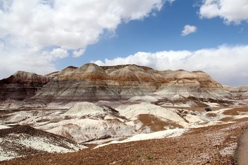 Petrified Forest