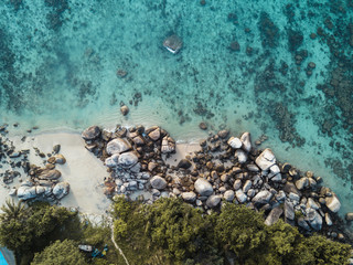 Trees, Rocks and Ocean