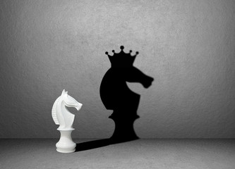 horse chess shadow on wall, winner concept