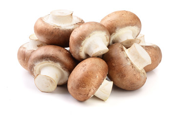 Royal Brown champignon isolated on white background