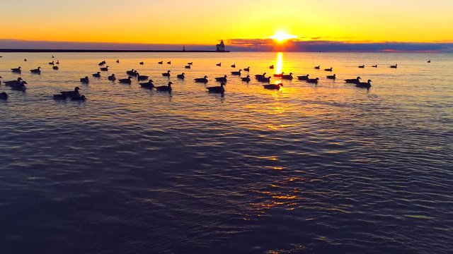 Dramatic sunrise with scenic Lighthouse and swimming flock of Canadian Geese.

