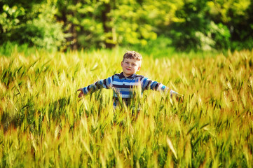 boy on a summer walk in a field with wheat