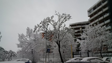 paesaggio urbano innevato