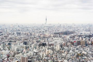 Fototapeta na wymiar Asia business concept for real estate and corporate construction - panoramic modern city skyline aerial view of Ikebukuro with grey sky in tokyo, Japan