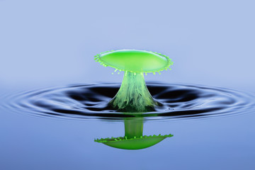 A Green Umbrella Shape Water Drop - Liquid Drop Art