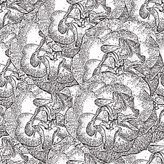 Seamless monochrome  pattern with roses