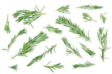 Fresh green rosemary isolated on a white background. Top view. Flat lay