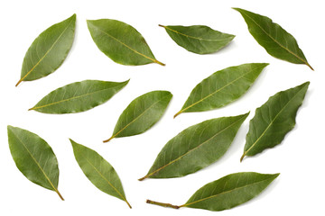 Laurel leaves isolated on a white background top view