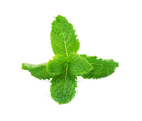 mint leaf isolated on a white background.