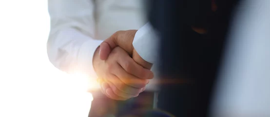 Foto op Plexiglas Business handshake and business people. Business concept. © ASDF