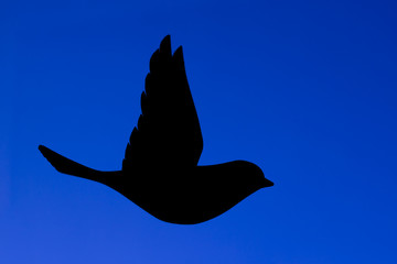 Black silhouette of bird - a great tit -in flight with blue background.