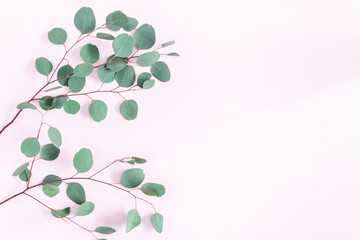 Obraz premium Eucalyptus leaves on pink background. Frame made of eucalyptus branches. Flat lay, top view, copy space